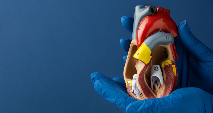Aortic Aneurysm - Enlargement