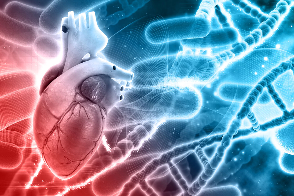 Coronary Angiography
