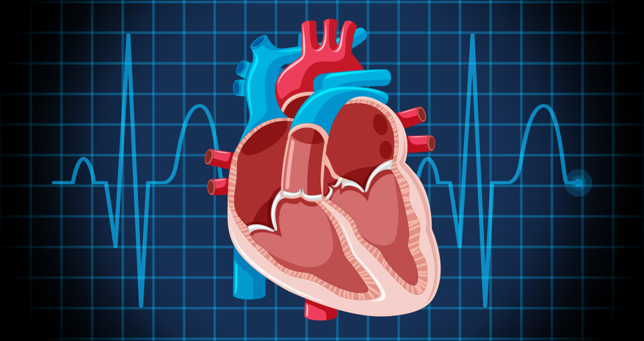 İskemik Kalp Hastalığı Nedir?