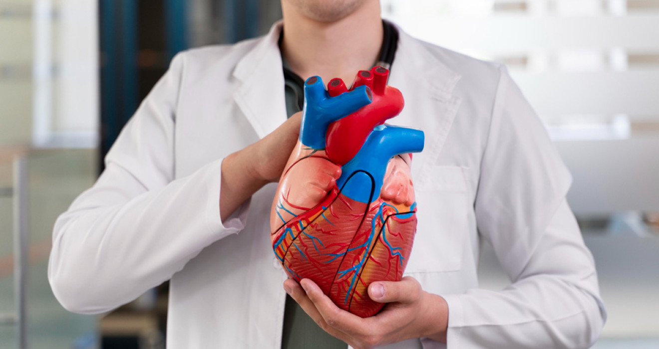 Kalbin Doğal Pili (Sinüs Düğümü) Nedir? Kalp Ritmi ve Görevi