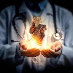 Kalp Büyümesi: Nedir, Neden Olur, Belirtileri Nelerdir? 