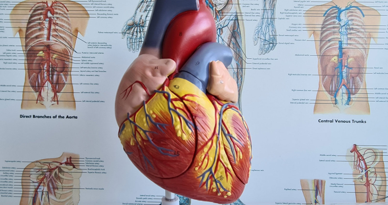 Valvular Heart Diseases