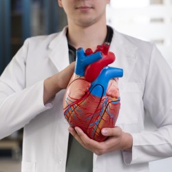 Kalp Kapağı Hastalıkları: Belirtileri, Nedenleri ve Tedavi Yöntemleri