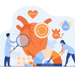 Kalp Sağlığını Bozan 7 Hata ve Korunma Yolları