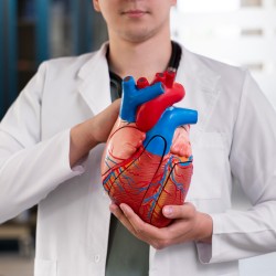 Kardiyoloji ve Kalp Damar Cerrahisi Arasındaki Fark Nedir?