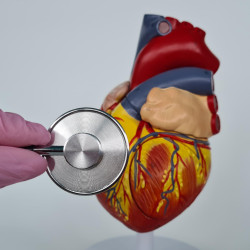 Kardiyovasküler Hastalık Nedir, Tedavi Yöntemleri Nelerdir?