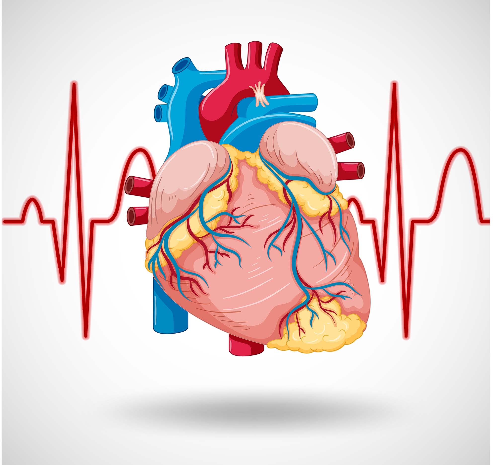 Mitral Kapak Yetmezliğinde Mitraclip 
