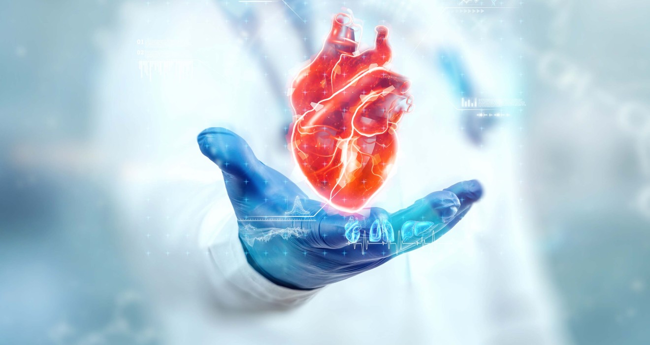 Mitral Kapak Yetmezliğinde Mitraclip Nedir?