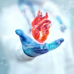 Mitral Kapak Yetmezliğinde Mitraclip Nedir?
