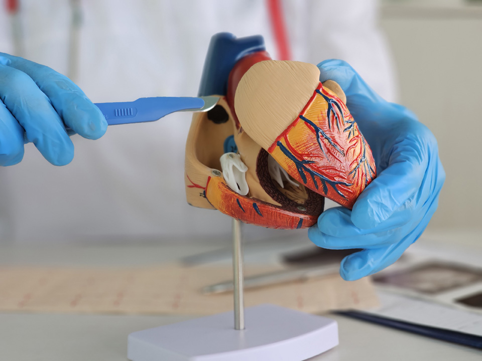 Stent Sonrası Göğüs Ağrısı Normal Midir?