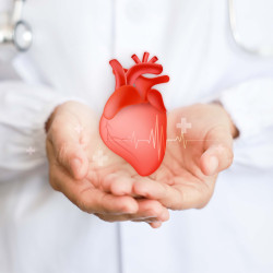 ST Yükselmeli Miyokard Enfarktüsü (STEMI) Hakkında Her Şey